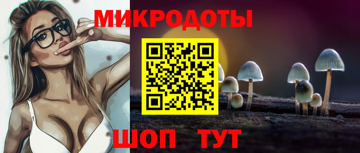 Котовск  Псилоцибиновые грибы мухоморы  Вход с VPN 